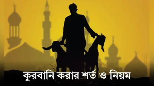 পত্রিকা