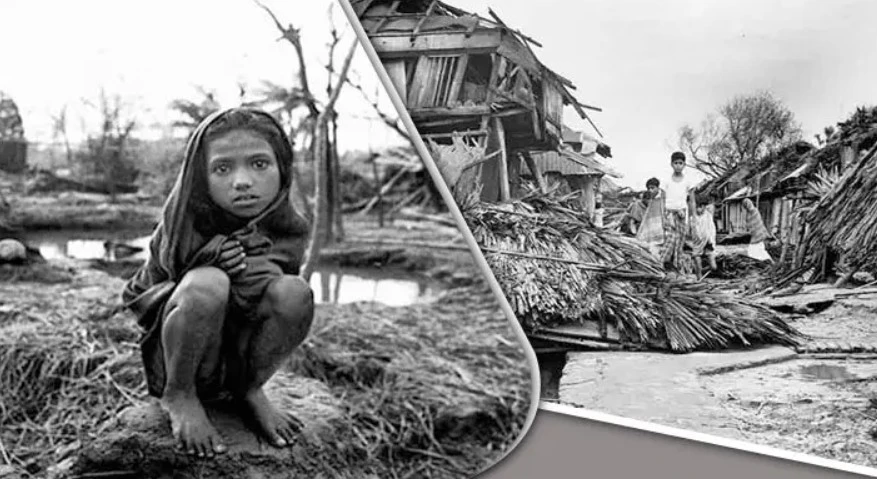 পত্রিকা