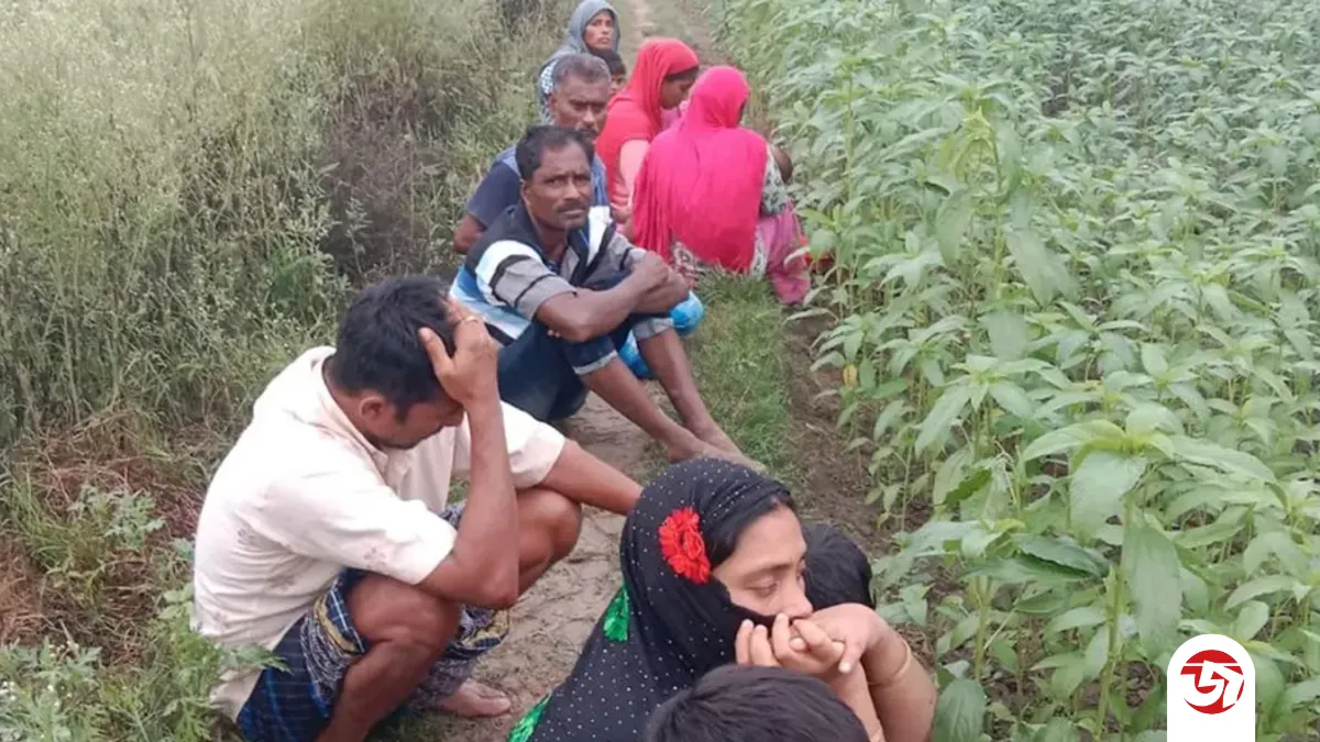 পত্রিকা