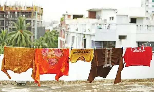 পত্রিকা