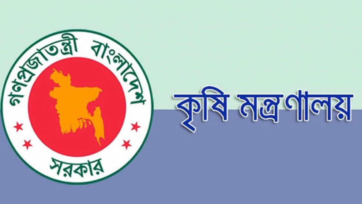 পত্রিকা