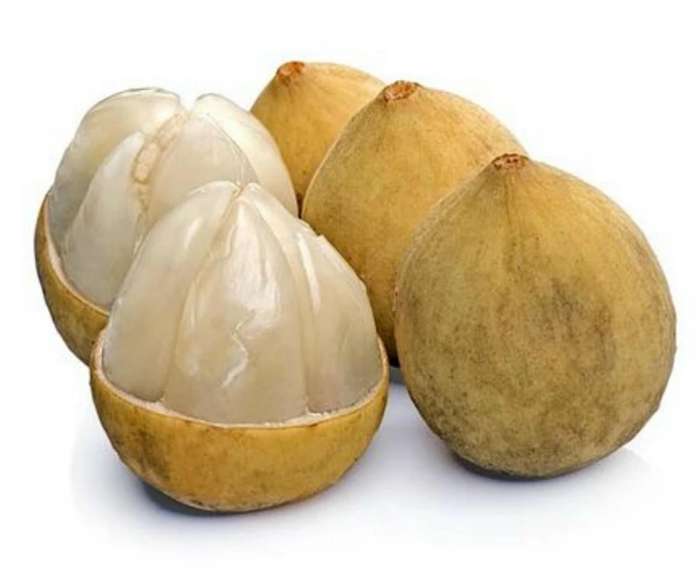 টক-মিষ্টি স্বাদের রহস্য উন্মোচিত! লাংসাট ফলের এক দানাই যেভাবে আপনার স্বাদ ও শক্তি বদলে দিতে পারে