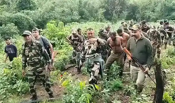 পত্রিকা
