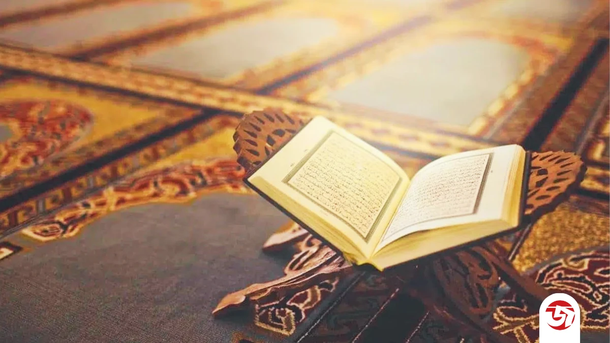 আল কুরআনে মোট কতটি সূরা ও আয়াত রয়েছে এবং এর সাধারণ বিভাজন কী?