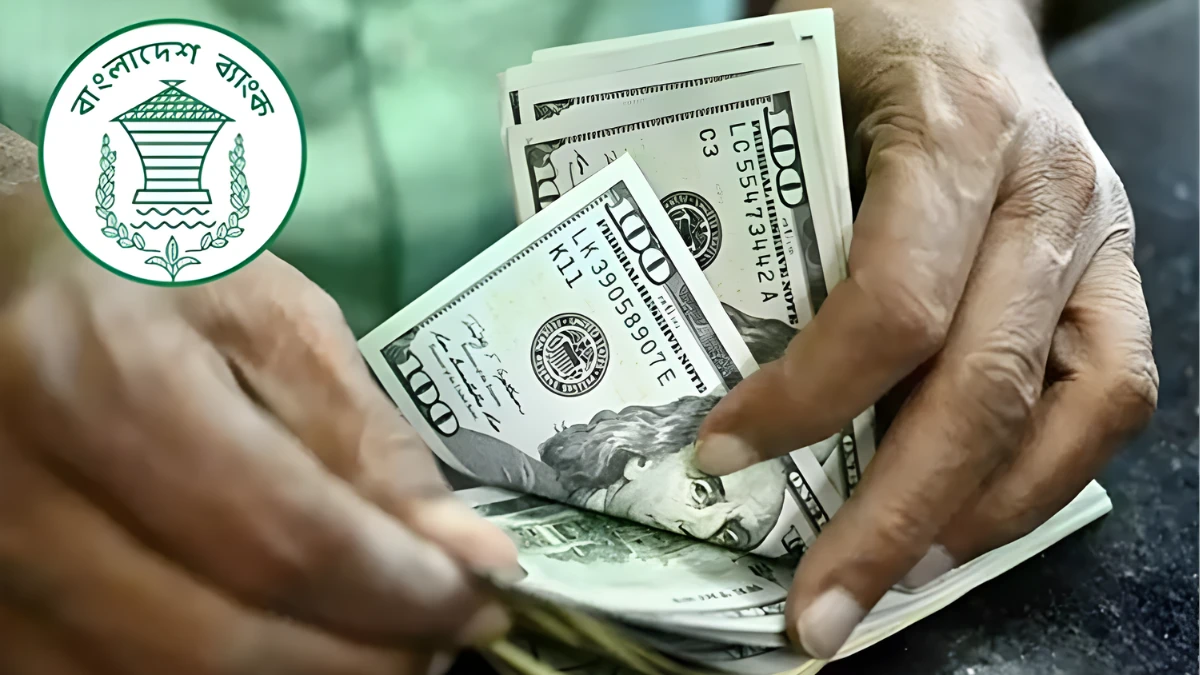 দেড়মাস পর ডলার কিনলো বাংলাদেশ ব্যাংক