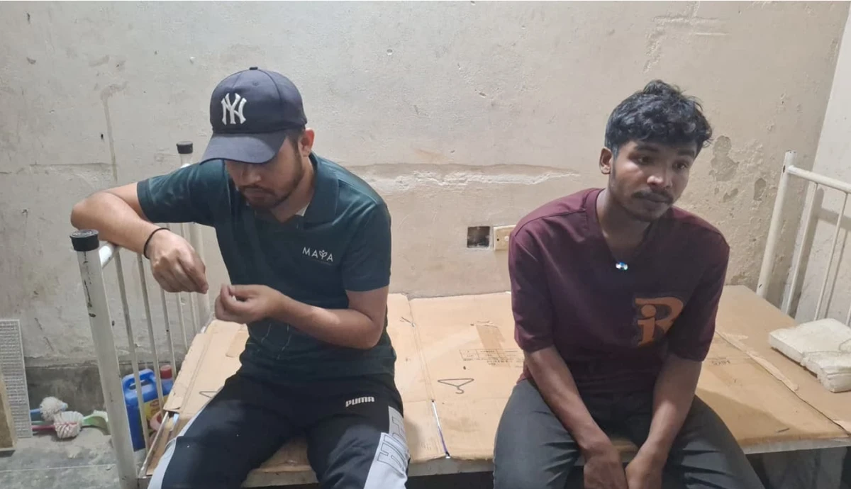 পত্রিকা