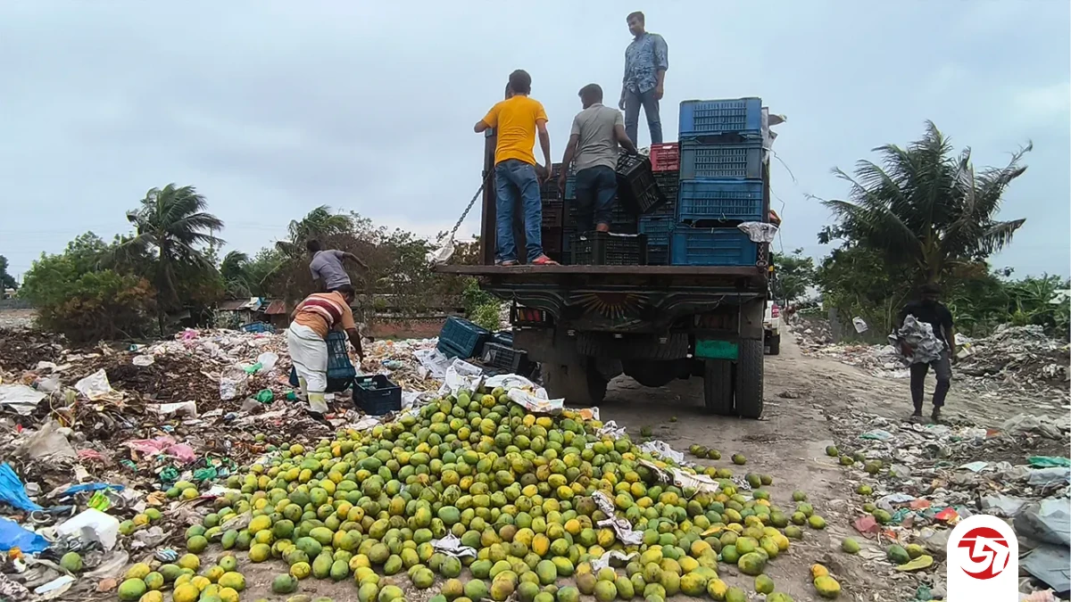 কেমিক্যাল মিশ্রিত ৯ হাজার কেজি আম জব্দ
