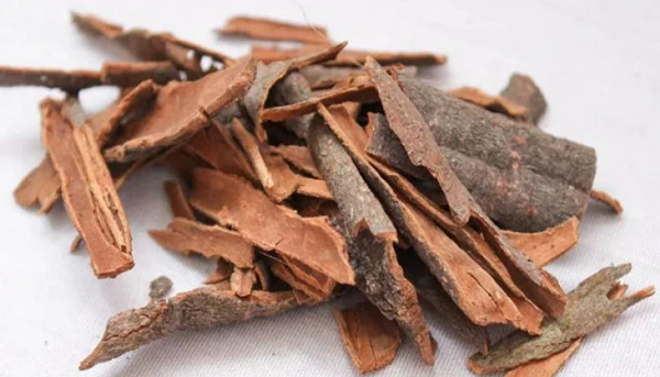 দারুচিনি খাওয়ার ১২ উপকারিতা