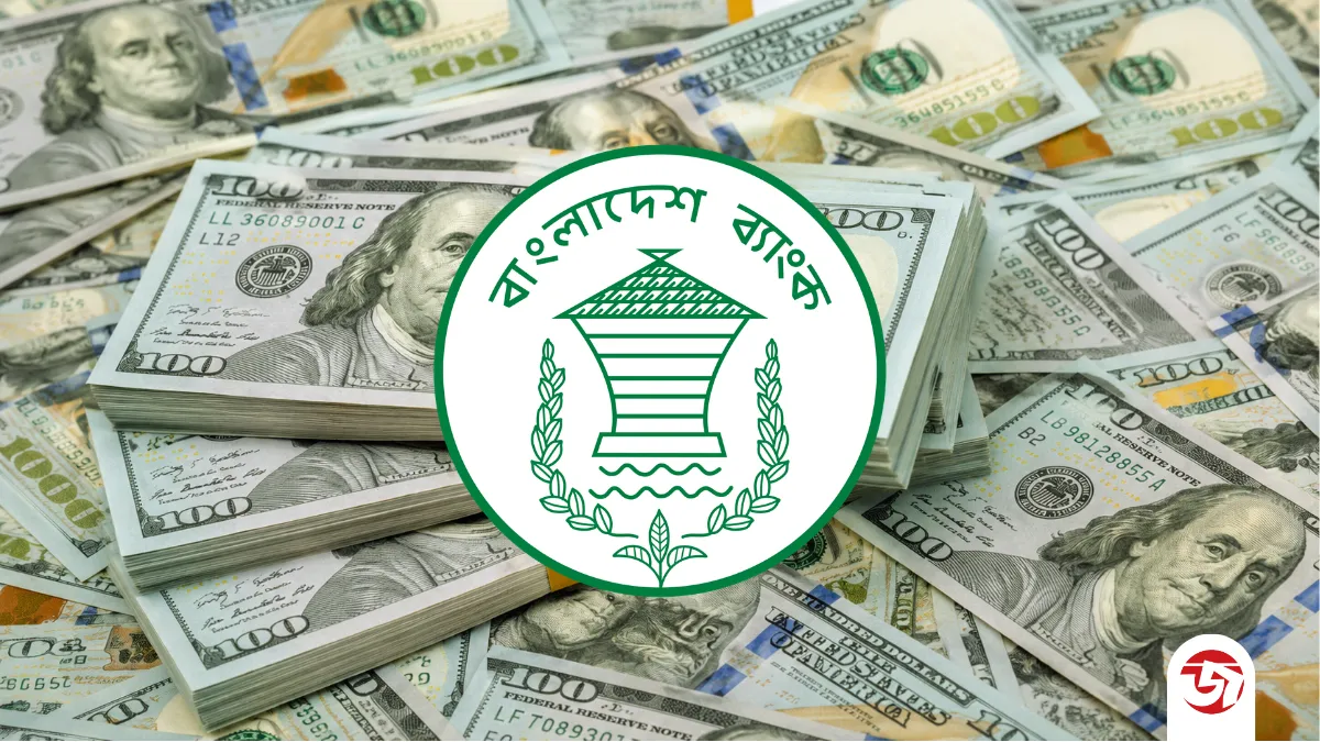 ১৯ দিনে দেশে এলো ২৪৮ কোটি ডলার রেমিট্যান্স