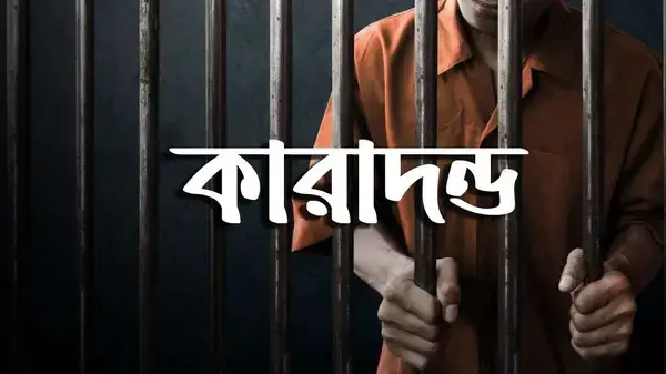 চাটখিলে মাদকবিরোধী অভিযান,  ৪ জনের ৩ মাসের কারাদণ্ড