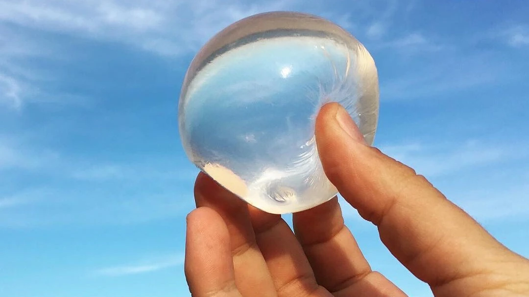 পত্রিকা