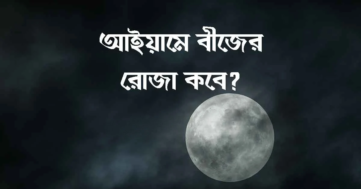 পত্রিকা