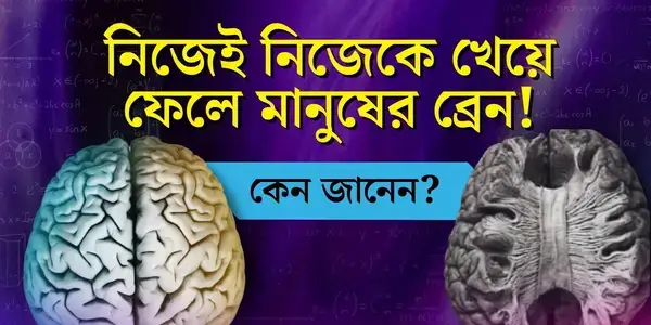 পত্রিকা