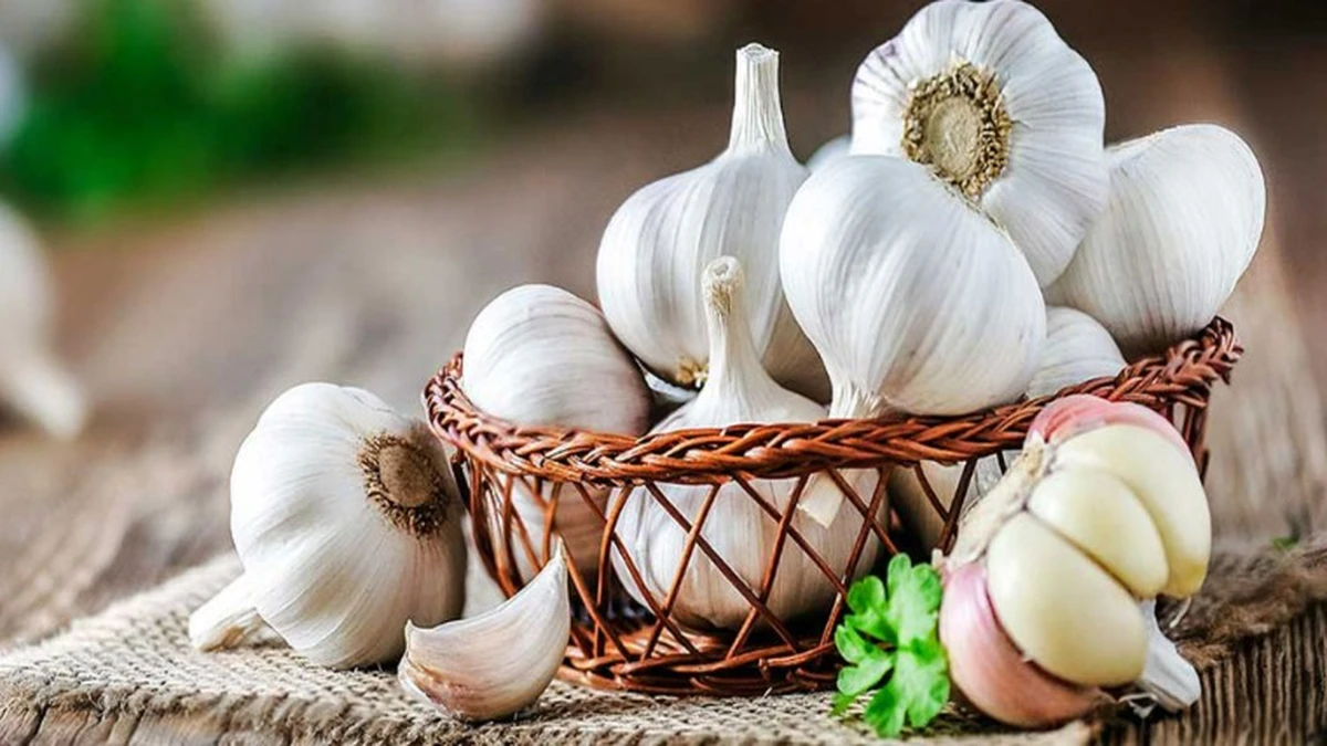 আজ জাতীয় রসুন দিবস
