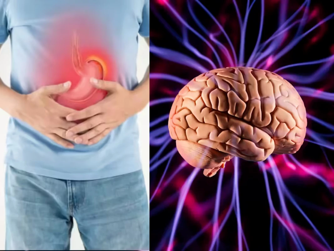 রোজ এন্টাসিড খেয়ে ক্লান্ত? গ্যাসের সমস্যার উৎস কি তবে মগজে!