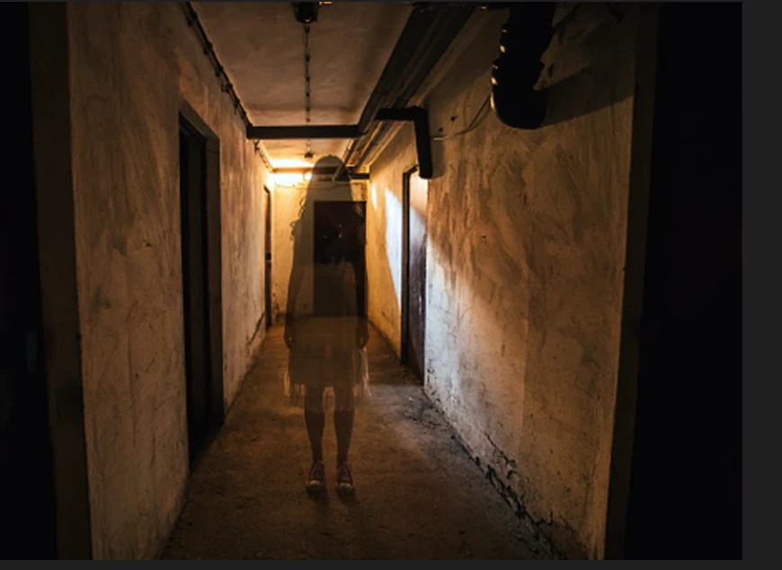 পত্রিকা