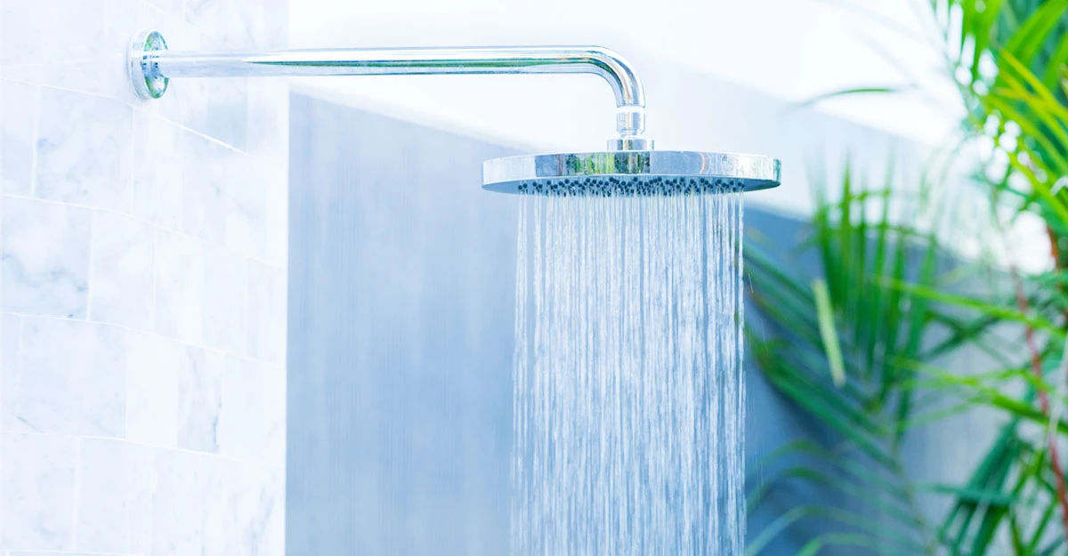 পত্রিকা