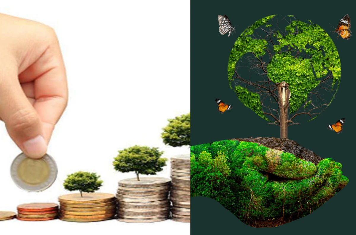 বনায়ন না করলেই জলবায়ু তহবিল বন্ধ, আন্তর্জাতিক চাপে বাংলাদেশ!