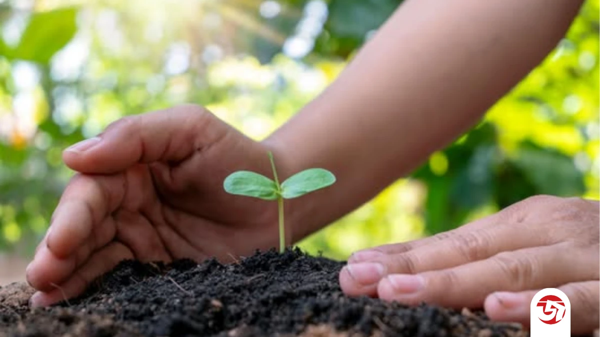 মহানবী (সা.)-এর হাদিসে যেভাবে পরিবেশ রক্ষার গুরুত্ব তুলে ধরা হয়েছে