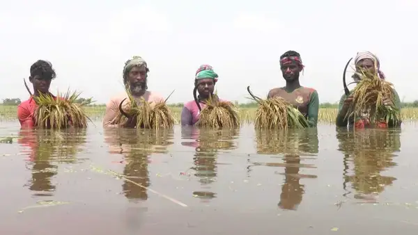 পত্রিকা