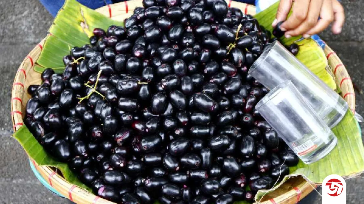 জাম খাওয়ার যত উপকারিতা, জেনে নিন বিস্তারিত