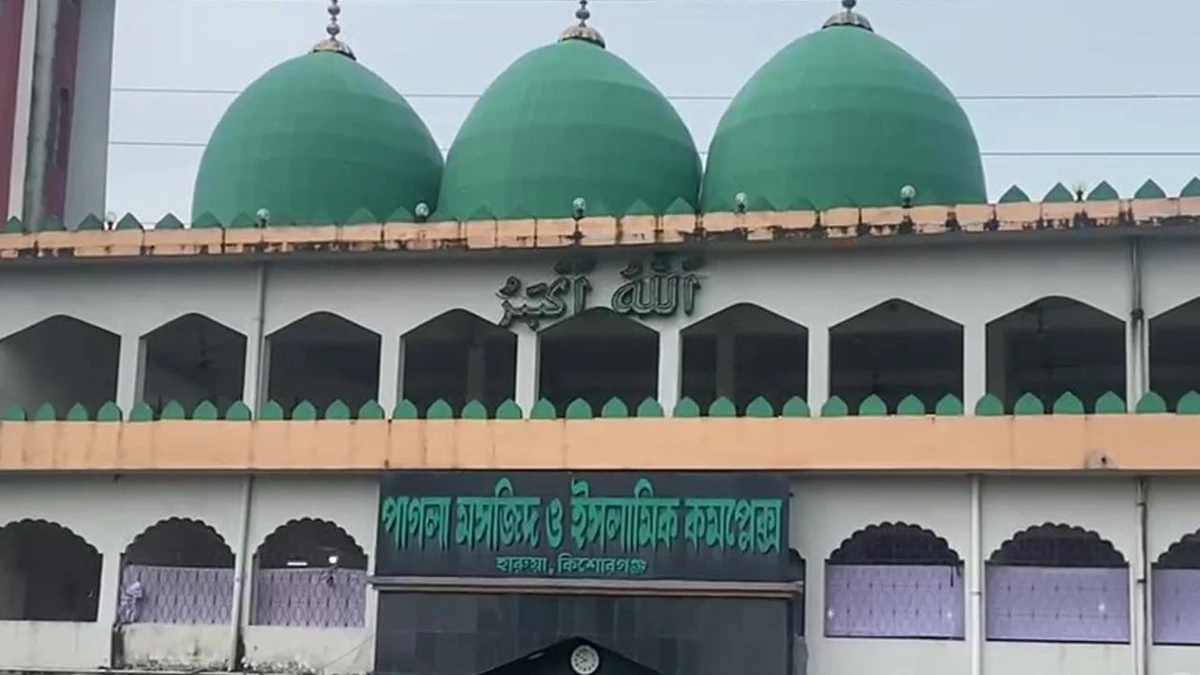 পাগলা মসজিদের গরু কিনেও টাকা দেননি, বিতর্কে কথিত বিএনপি নেতা