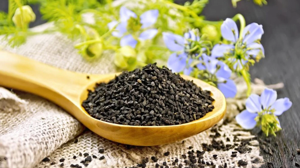 পত্রিকা