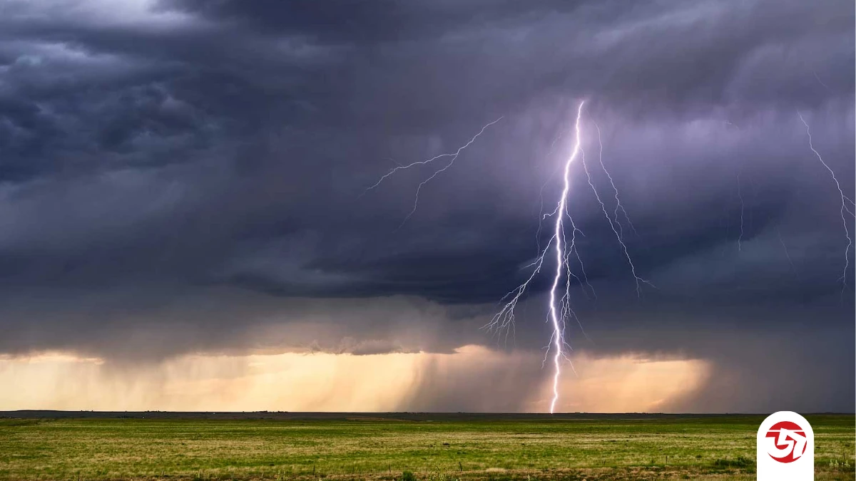 নেত্রকোনায় বজ্রপাতে তিনজনের মৃত্যু