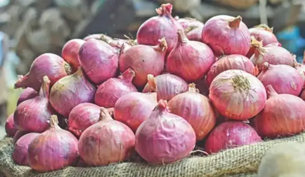 হিলি স্থলবন্দর দিয়ে পেঁয়াজ আমদানির অনুমোদন