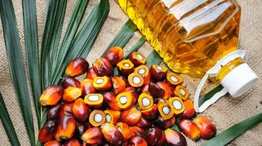 খোলা পাম অয়েলের মূল্য লিটারে ১৯ টাকা কমাল সরকার