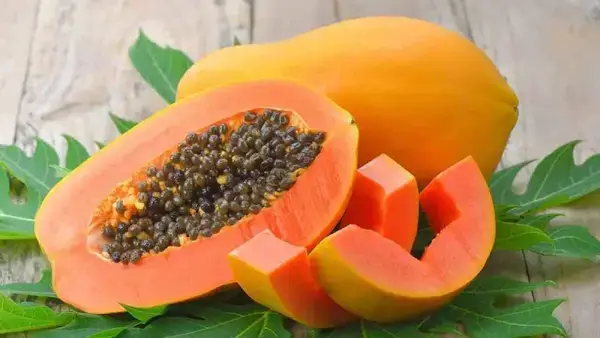 পত্রিকা