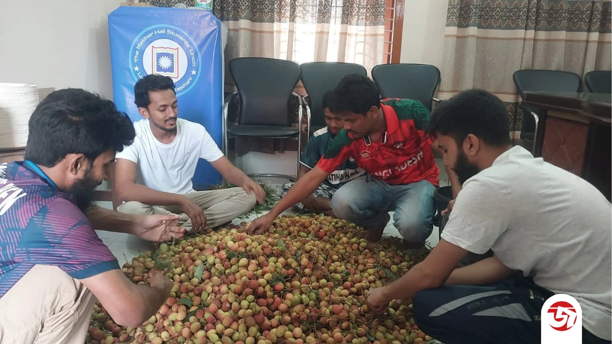 রাবির মতিহার হলের গাছ থেকে লিচু পেড়ে রুমে রুমে পৌঁছে দিলেন হল সংসদের নেতারা