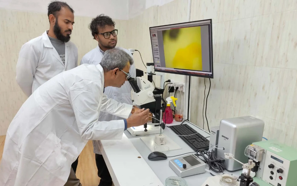 পত্রিকা