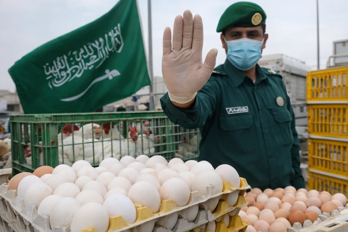 বাংলাদেশ থেকে মুরগি ও ডিম নেবে না সৌদি আরব