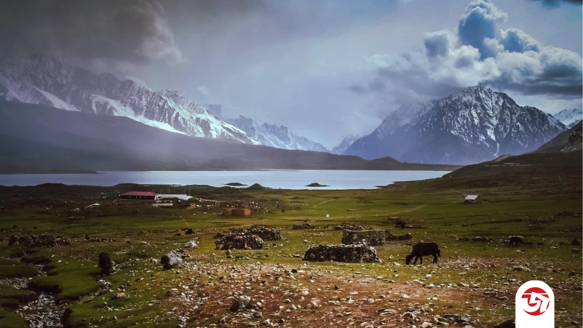 শান্দুর পাস: পাকিস্তানের ‘রুফ অব দ্য ওয়ার্ল্ড’- একসঙ্গে পাহাড়, হ্রদ, পোলো আর নীরবতার ভ্রমণ