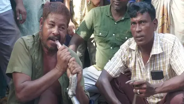 পত্রিকা