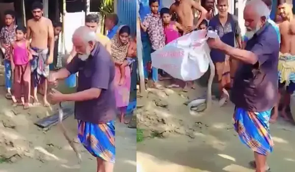 নাগেশ্বরীতে সাপের দংশনে মারা গেলেন সাপুড়ে