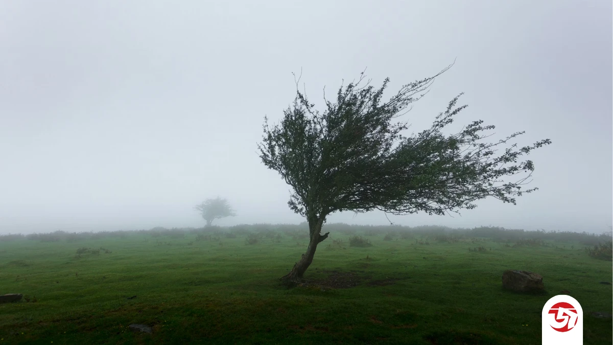 সন্ধ্যার মধ্যে কালবৈশাখীর তাণ্ডবের শঙ্কা যেসব এলাকায়