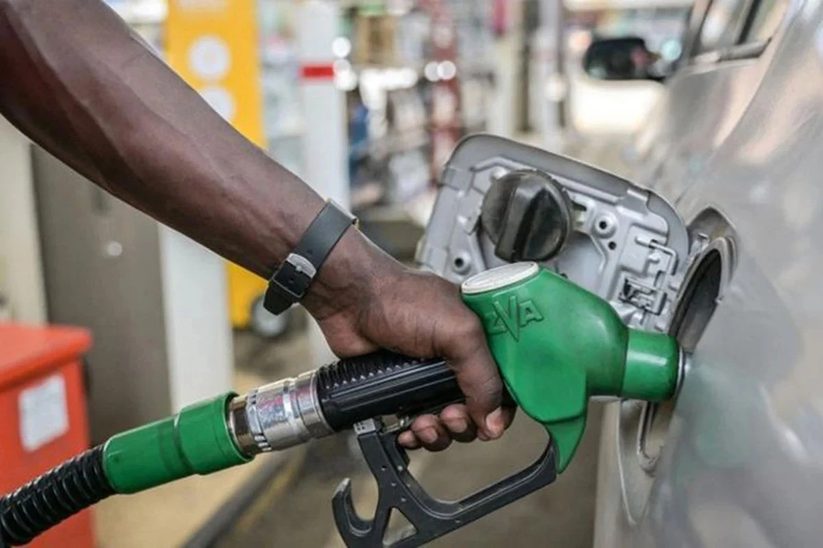 পত্রিকা