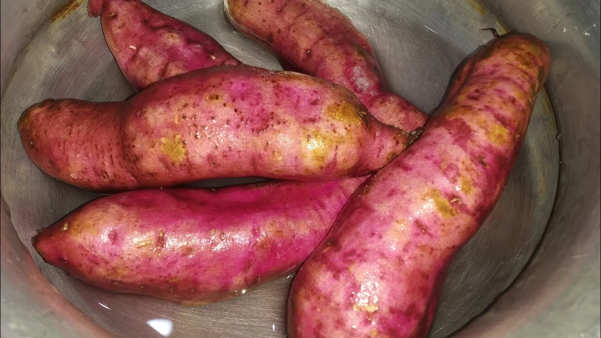 পত্রিকা