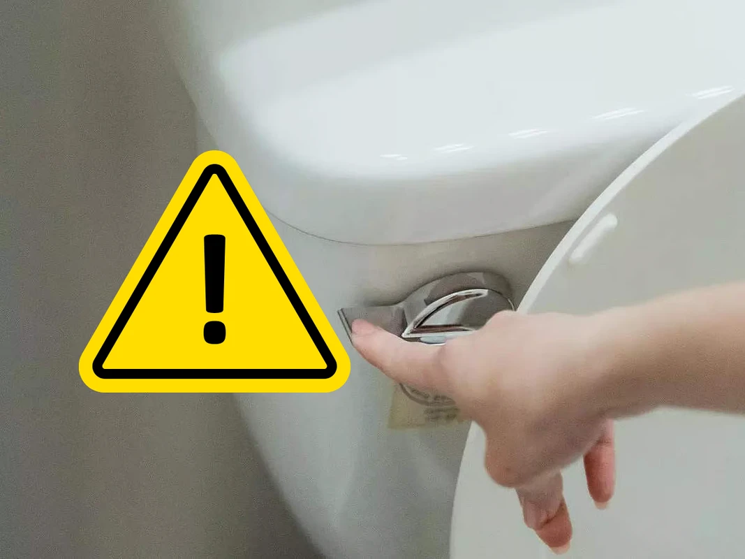 সুইজারল্যান্ডে রাতে টয়লেট ফ্লাশ নিষিদ্ধ! আইন, নাকি গুজব?