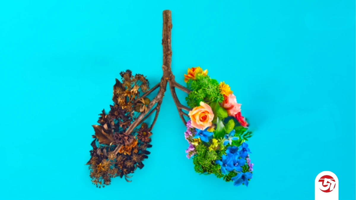 ২০০৮ সালের পর জন্মগ্রহণকারী যে কেউ আজীবনের জন্য তামাক কিনতে পারবেন না