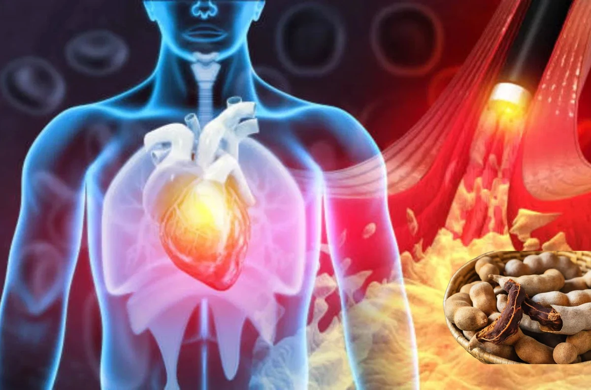 এক ফল, অসংখ্য উপকার : টক-মিষ্টি স্বাদে হজম ও হার্টের চমকপ্রদ উপকারিতা!