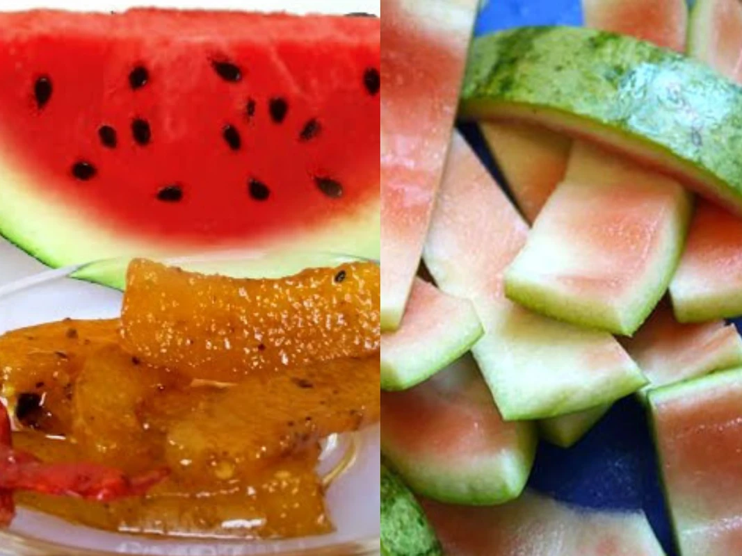 পত্রিকা