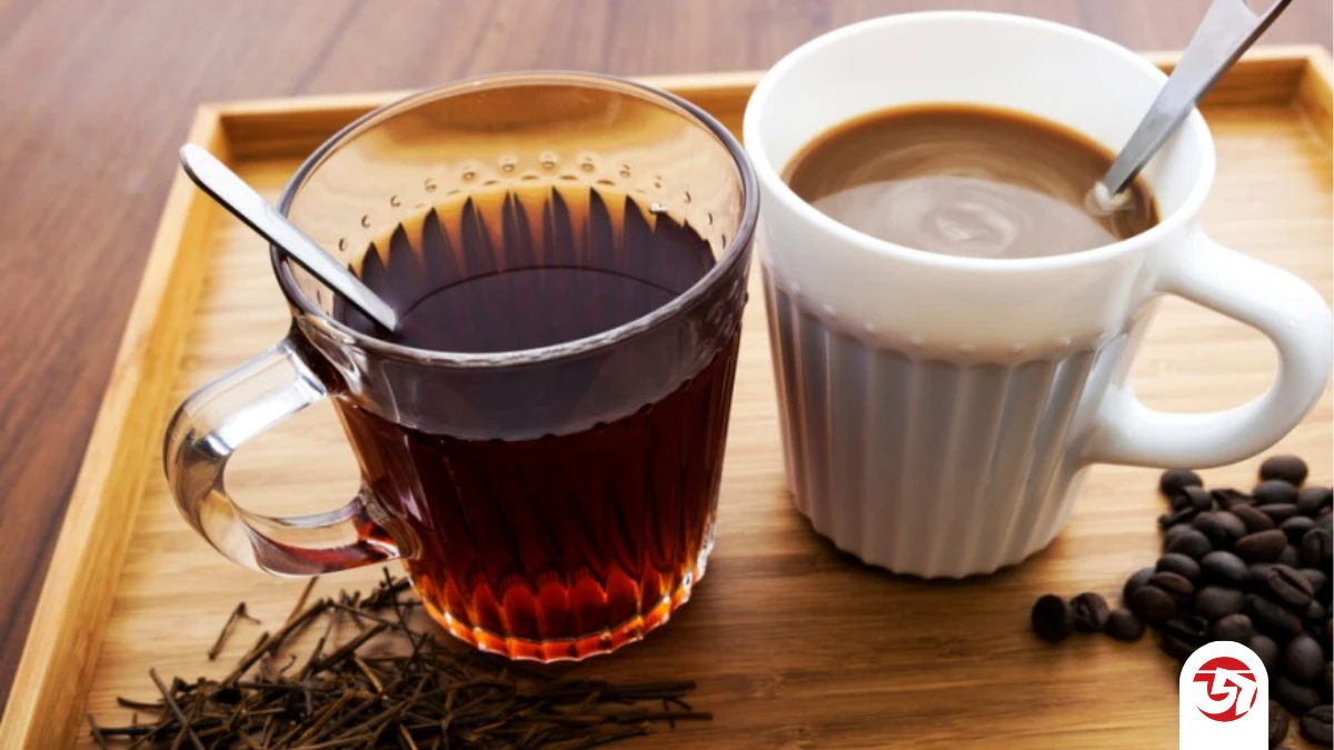 পত্রিকা