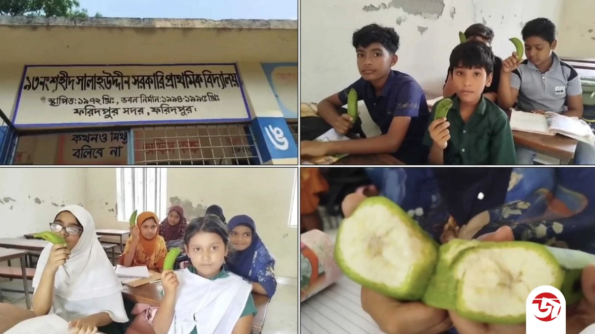 ফরিদপুরে টিফিনে বন রুটির সঙ্গে কাঁচা কলা, শিক্ষিকা বরখাস্ত