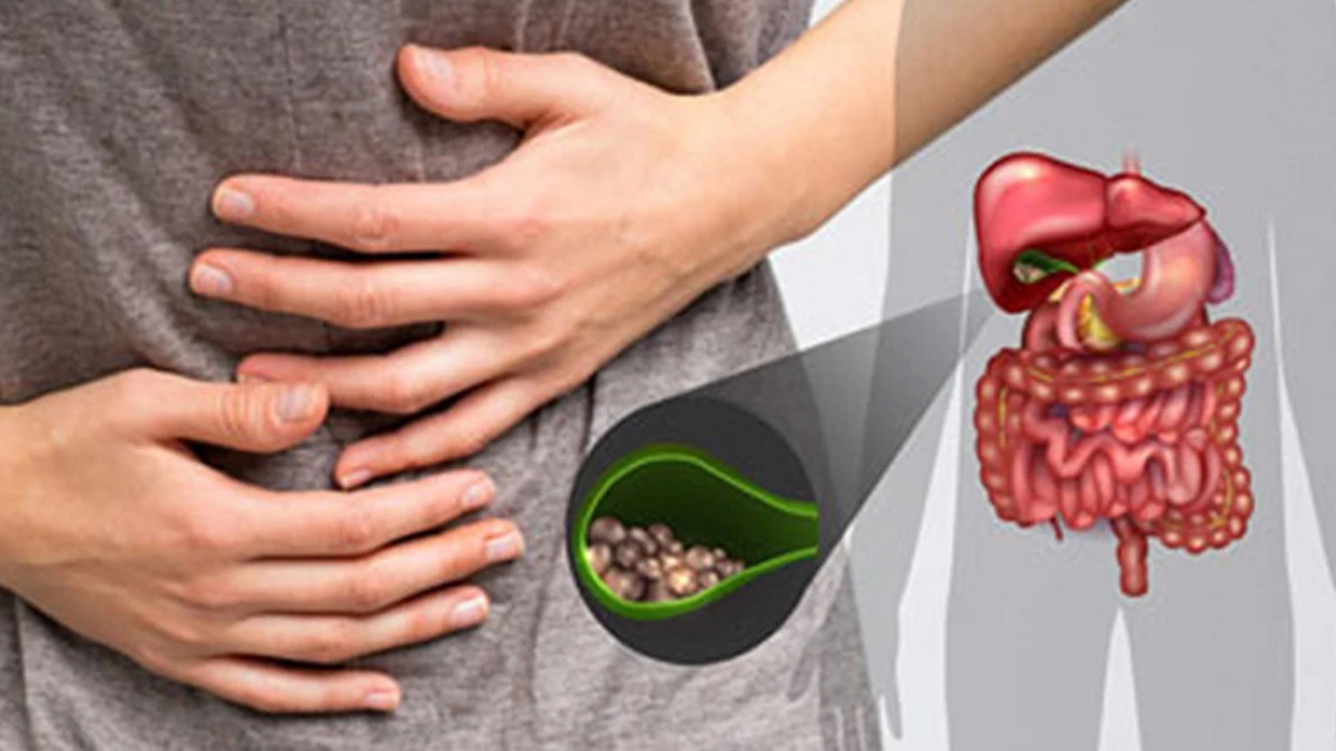 পত্রিকা