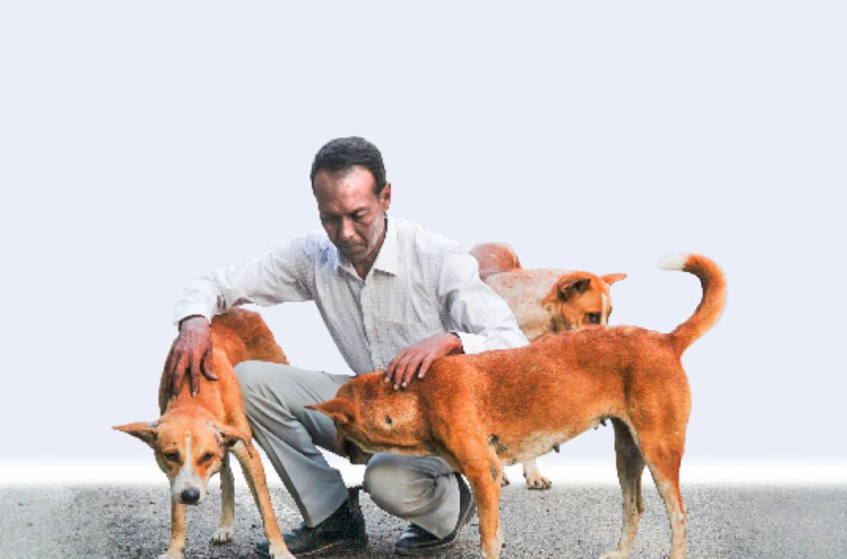 পত্রিকা