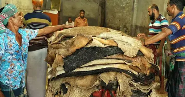 পত্রিকা
