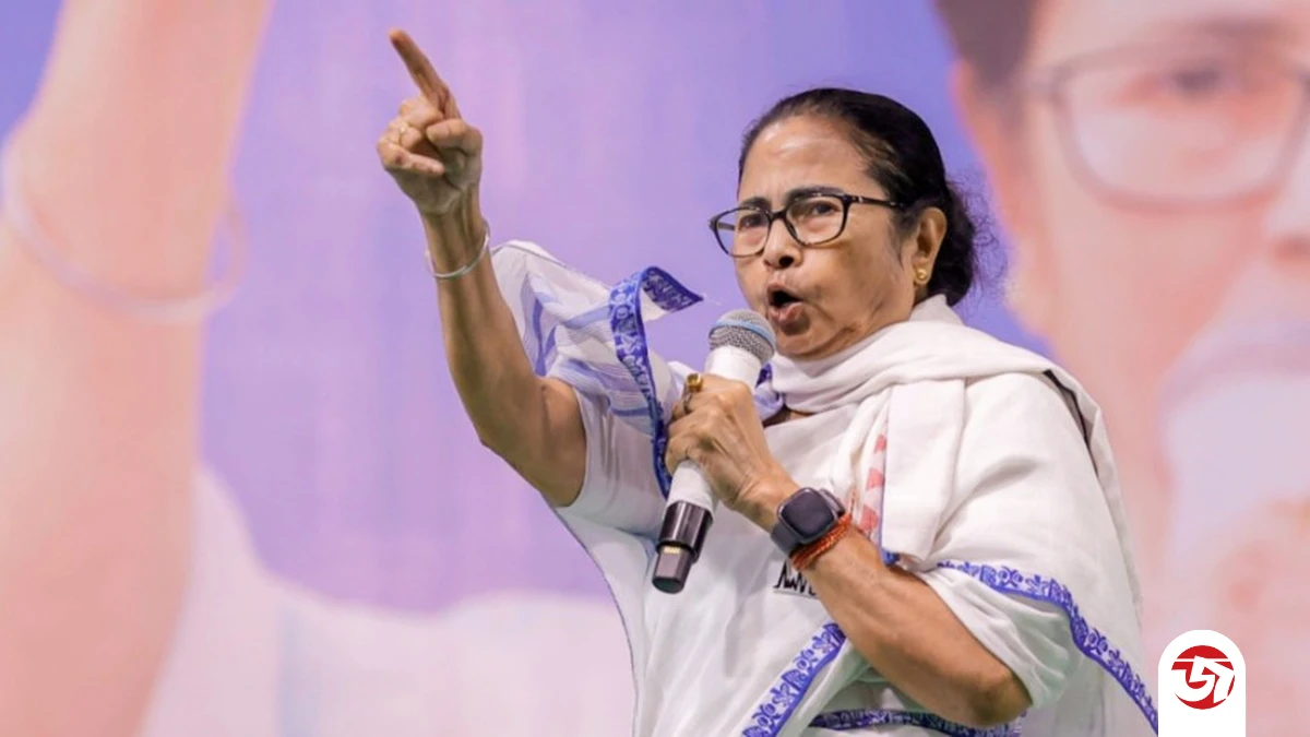 ভয় পাবেন না, আমরা বাঘের বাচ্চার মতো লড়ব, ভোট গণনার মধ্যে মমতার বার্তা
